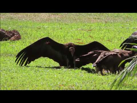 This is a very beautiful beach senegambia Beach Hotel!😊😍