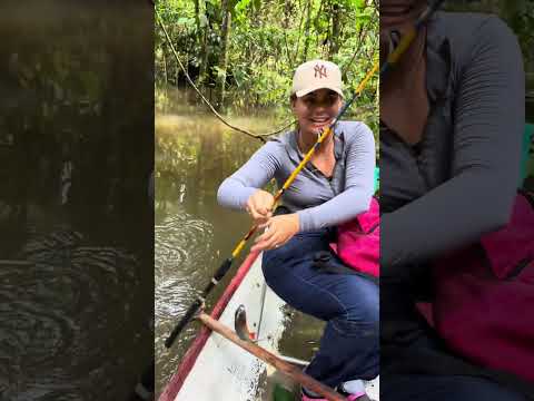 Acompanhe a vivência do interior e sinta o poder dessa terra, Rio Juruá, Ipixuna-Amazonas 