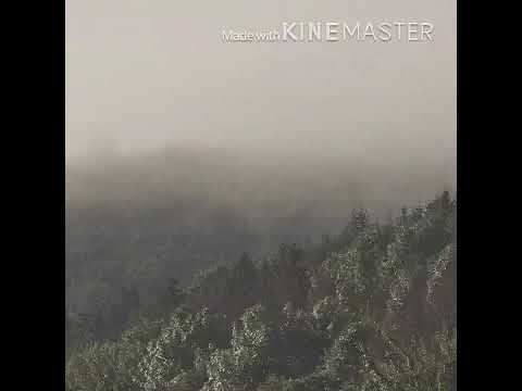 Ling Sho Ray by Misty Terrace(lyrics)bhutanese song