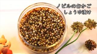 ノビルのむかご醤油（しょうゆ）漬けの作り方・簡単レシピ｜Coris cooking