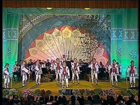 Albesteanu 2010 - ''Doina Baraganului'' -  Calusul