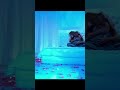 Zarine Khan Hot Edit Full Video Coming Soon
