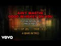 Trick Pony - Ain't Wastin' Good Whiskey On You (Karaoke)