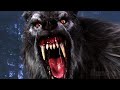 Come Intrappolare Un Lupo Mannaro Van Helsing Clip In Italiano