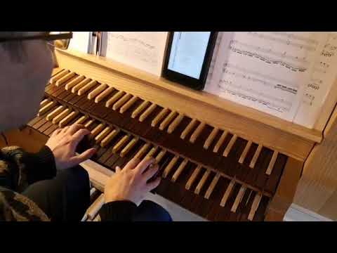 Genevan Psalm 41 Organ Improvisation