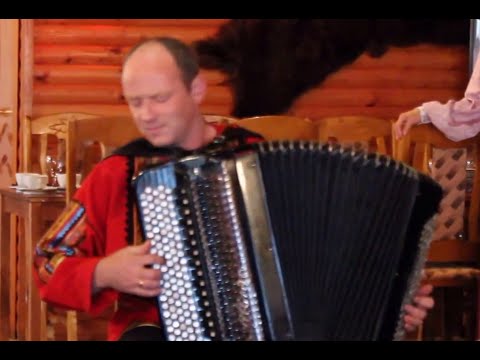 Lovely Accordion Performance