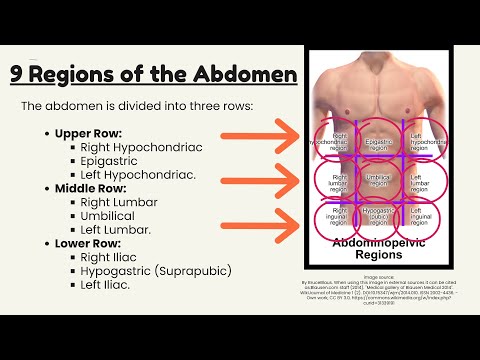 9 Regions of Abdomen made simple
