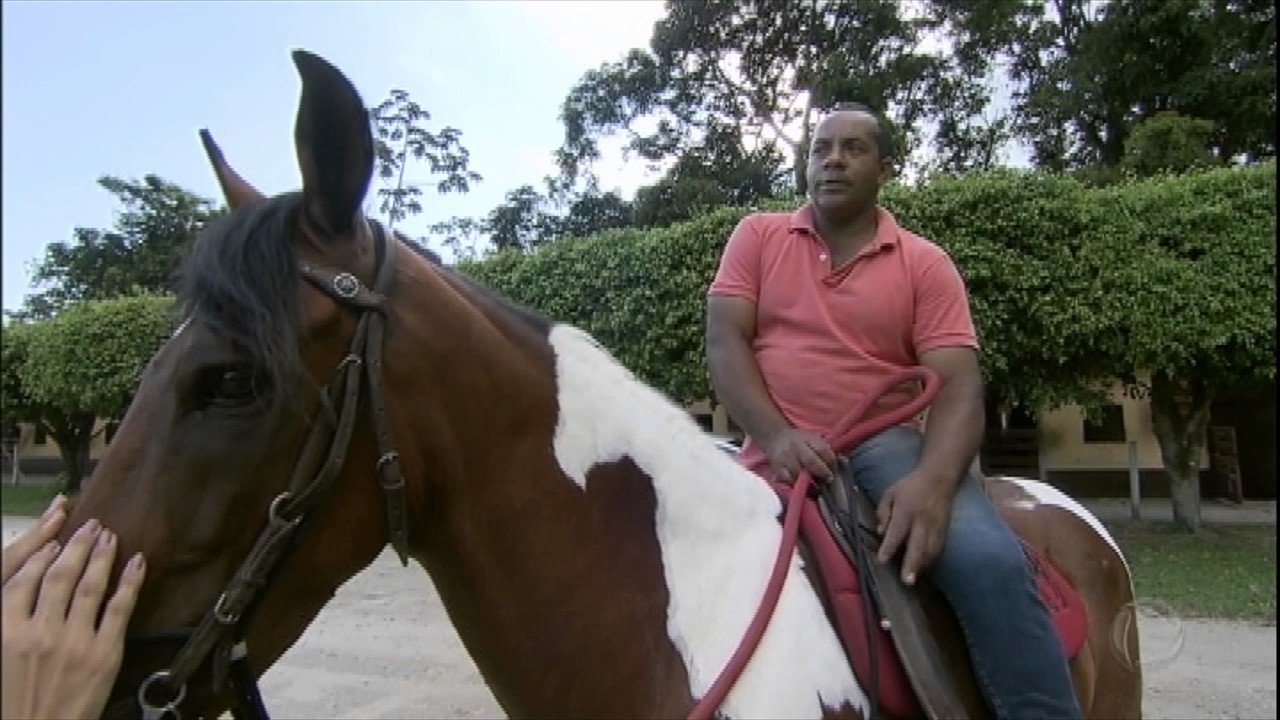 Reação de cavalo no enterro do dono comove internautas