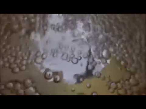 Ice Bucket Challenge Ole Wieneke