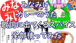 【みなみけ カレーのうた】歌詞に出てくるスパイス全部使ってみた【料理】【歌ってみた】