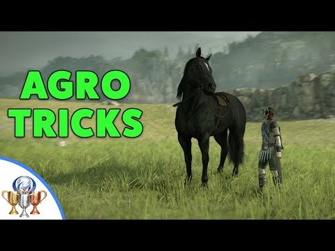 Shadow of the Colossus PS4 Remake - TRICK RIDER - All Stunts with Agro
