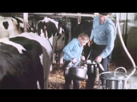 Farm Family In Autumn (1967)