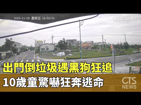 出門倒垃圾遇黑狗狂追　10歲童驚嚇狂奔逃命