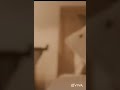 Dad S Love Whatsapp Status Fullscreen Naam Unodu Naanum Vaala Song