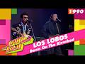 Los Lobos  - Down on the Riverbed (Veronica's Muziekdag, 1990)