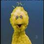 Sesame Street Big Bird Knocks Over Blocks