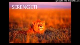 Serengeti - This World