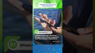Kenapa Notifikasi WhatsApp Tidak Muncul? Simak Beberapa Kemungkinan Penyebabnya