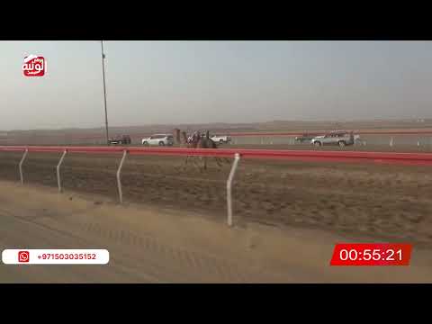  ش 17 (الشاهينيه) لـ سعيد سهيل سعيد بوحقب الشامسي 2:58 ، شارة الصندوق 2026/07/30 فطامين الروضة