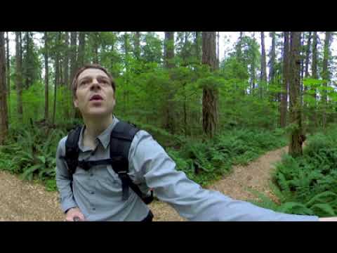 Red Trail Plant Walk - Malcolm Knapp Research Forest (360° Video)