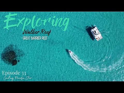 Exploring Walker Reef on the Great Barrier Reef | S1 E33 | Sailing Pacific Star