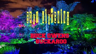 BUCK OWENS - BUCKAROO
