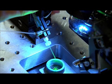 Nano-optics Division of the Max Planck Institute for Science of Light