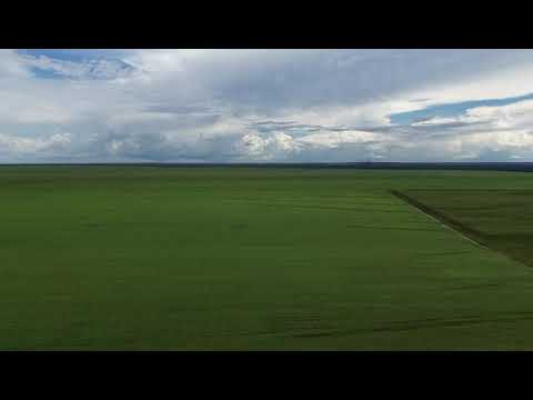 EXCELENTE FAZENDA em Campo Novo do Parecis NO ESTADO DE MATO GROSSO /MT.