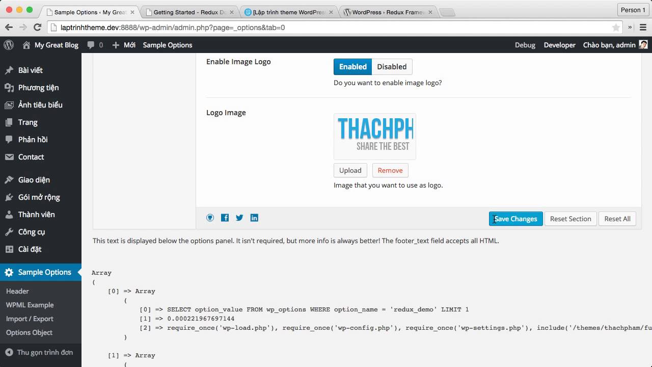 [Lập trình theme WordPress - 20] Tạo Theme Options