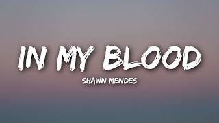 Shawn Mendes - In My Blood (Lyrics / Lyrics Video)