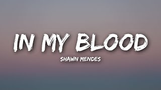 Shawn Mendes - In My Blood (Lyrics / Lyrics Video)