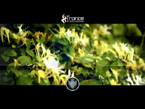 ▶ Michael Flint - Come Together (Original Mix) [Trance All-Stars Records] •PROMO•