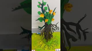 Working model of types of root systems #taproot #scienceproject #schoolproject