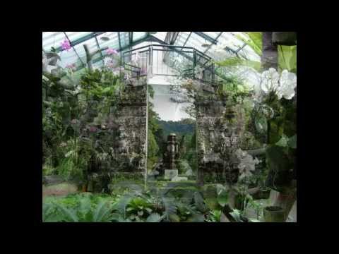 Kebun Rayaa - Best Place to Visit in Indonesia - Travel Around the World - Best Places for Tour