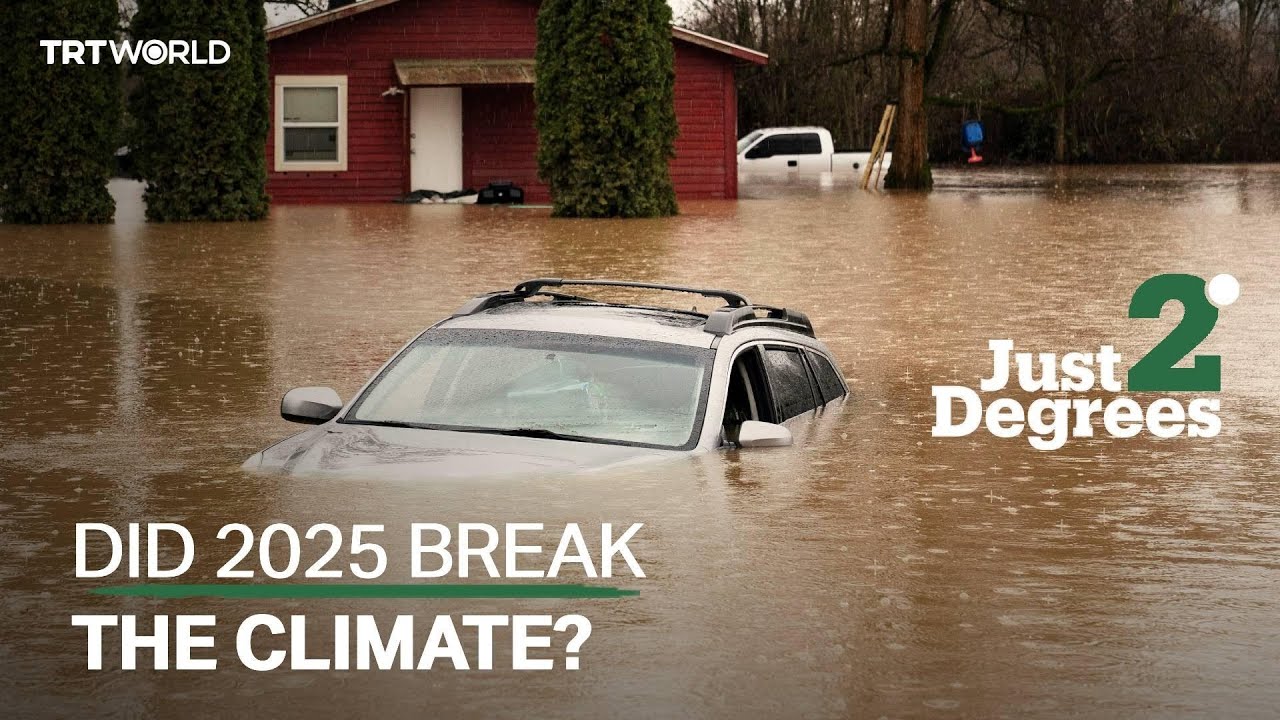 2025's Climate-Defining Moments, Treehugging