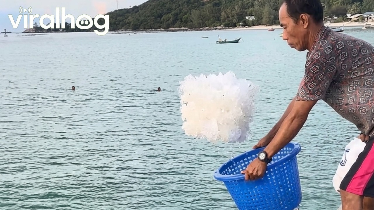 Fisherman Casually Fills Ice By Tossing Buckets || ViralHog