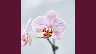 Download lagu Hancur Jiwa Memandu Jalan mp3 Download lagu Hancur Jiwa Memandu Jalan mp3