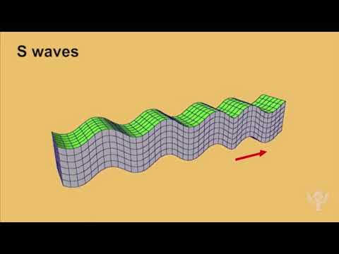 Seismic waves earthquake