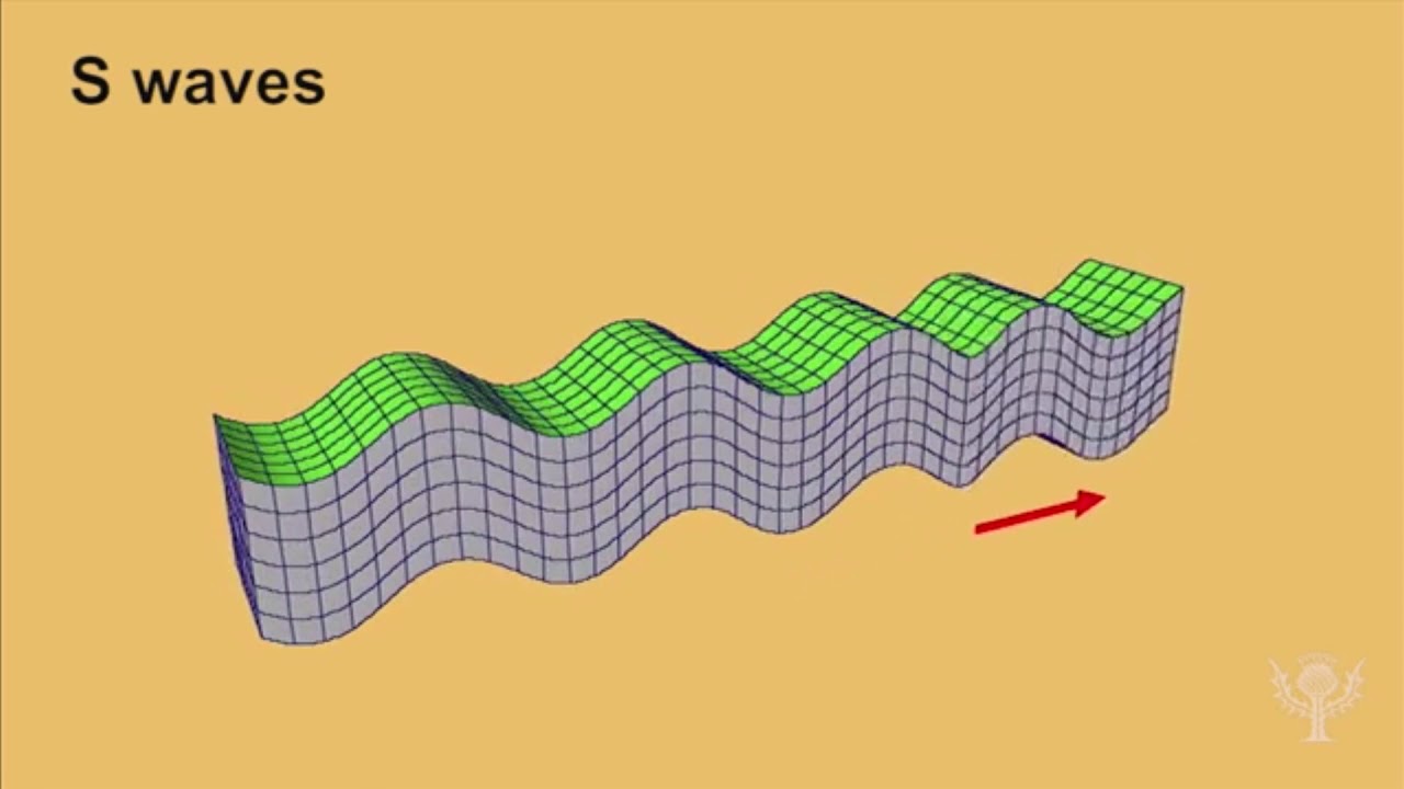 What are the different types of seismic waves?
