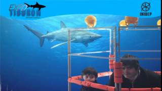 DIA 3 Expo Tiburon182