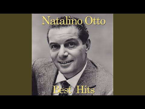 Op op trotta cavallino