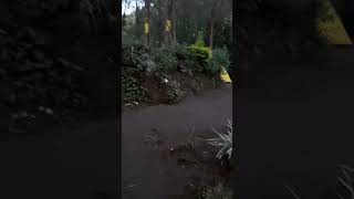 Download lagu pos 5 gunung arjuno via purwosari #mahkutoromo #arjuno #viral #shorts #storywa #cinematic mp3