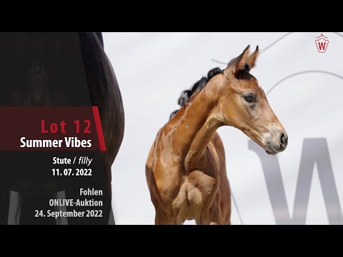 ONLIVE-Auktion Lot 12 Summer Vibes Stute v. Sir Heinrich - Show Star
