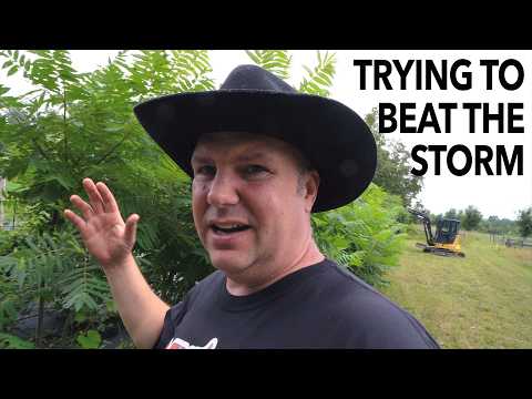 Enjoying a Day on the Farm...Then the Storm Hit