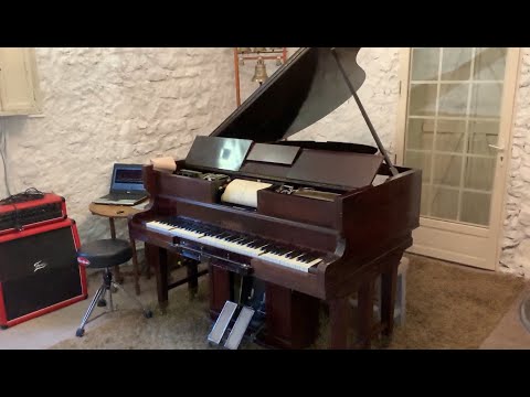 Le Moribond Piano Performance Video