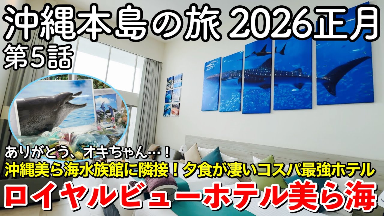 【沖縄旅行】ロイヤルビューホテル美ら海 宿泊記｜美ら海水族館に一番近い宿！もとぶ牛＆あぐー豚食べ放題&飲み放題の夕食が凄いコスパ最強ホテル【沖縄本島の旅 2026正月 第5話】