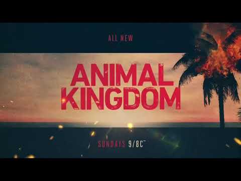 ANIMAL KINGDOM 5x11 - TRUST THE PROCESS