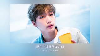 鄭世雲 - IRONY [中字]