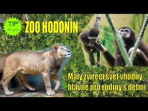 Zoo Hodonín je dobrý tip pro rodiny s dětmi