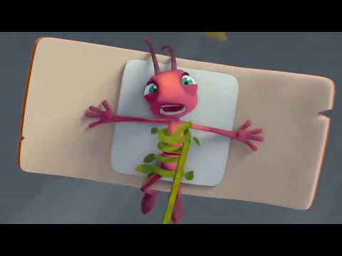 murotal surat al-kahfi dan yasin//antiks animasi semut seru%